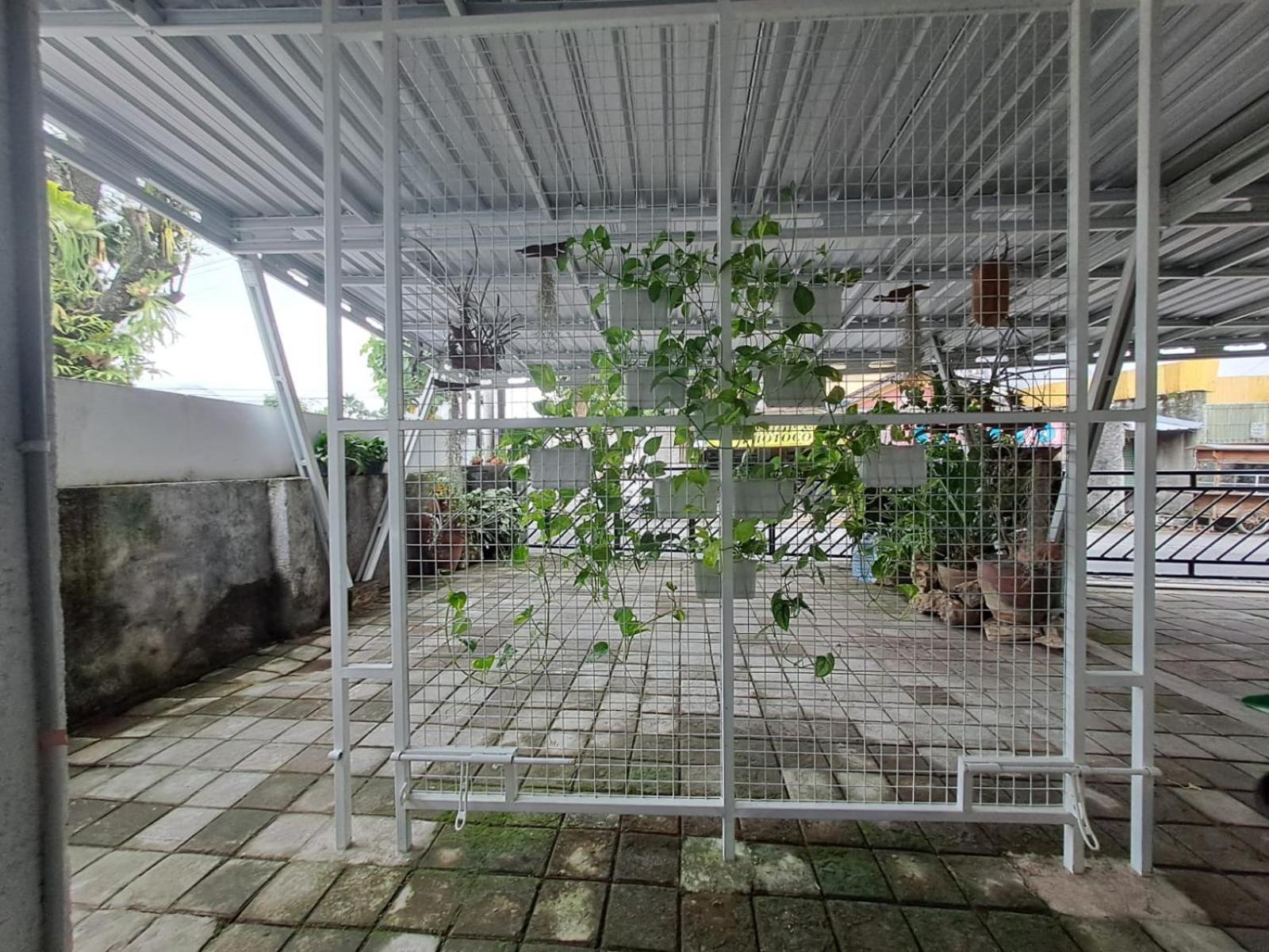 Homestay Ruvi Kost *